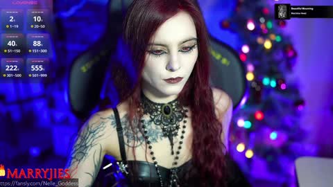 Snapshot of nelle_ chatting on January 2025 12:23:01 PM online show from January 2025 12:23:01 PM