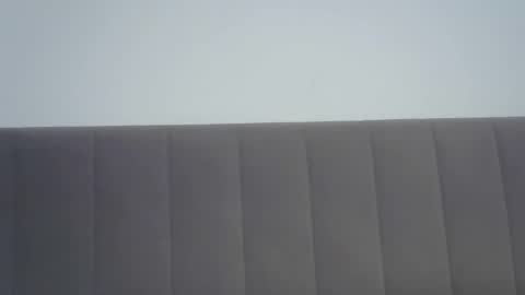 nelly_fortu online show from February 2026 11:38:02 AM