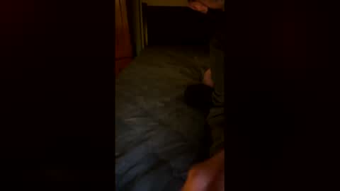 netgear70 online show from December 2025 05:46:01 AM