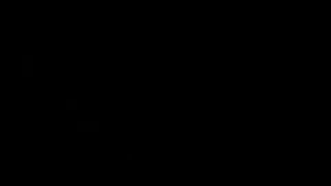 never_forget_this online show from January 2025 09:51:02 PM