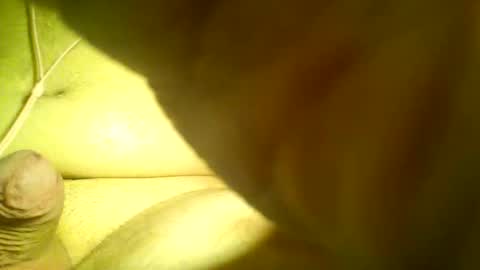 Mark online show from January 2025 04:13:01 AM