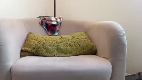 NvrSats911 online show from December 2024 06:34:01 PM