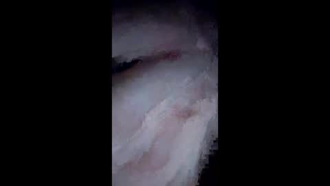 NvrSats911 online show from December 2024 10:06:02 AM