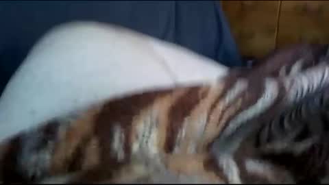 Snapshot of neverseentthatb4 chatting on December 2024 07:36:01 PM Matt online show from December 2024 07:36:01 PM