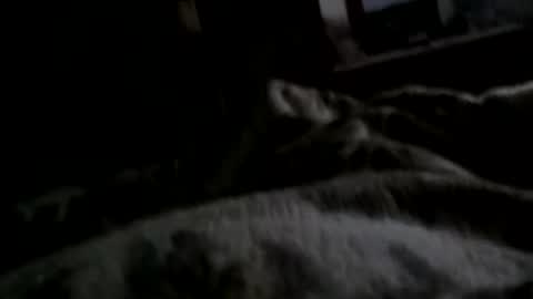 Snapshot of neverseentthatb4 chatting on December 2024 07:42:01 AM Matt online show from December 2024 07:42:01 AM