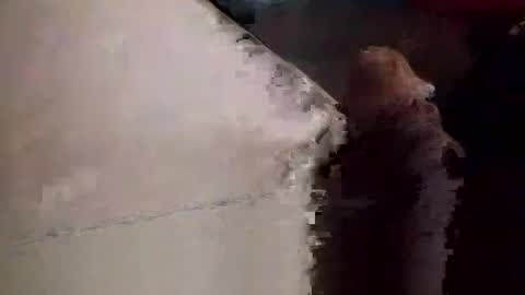 Snapshot of neverseentthatb4 chatting on November 2025 09:03:02 PM Matt online show from November 2025 09:03:02 PM