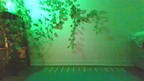 Snapshot of new__moon chatting on December 2024 10:48:01 PM luna online show from December 2024 10:48:01 PM