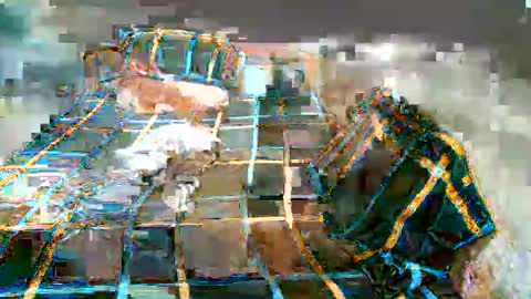 Snapshot of newest_star69 chatting on January 2025 11:16:01 AM Lucy Pearl online show from January 2025 11:16:01 AM