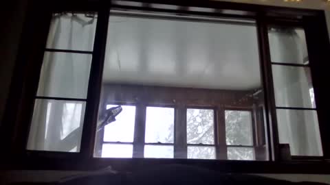 Newguy81240 online show from January 2025 03:54:02 PM