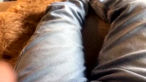 Snapshot of newjerseyhorny chatting on December 2024 07:10:01 PM newjerseyhorny online show from December 2024 07:10:01 PM