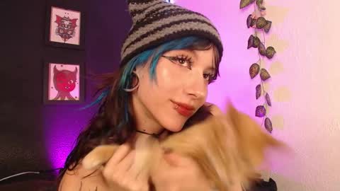  niakat  online show from March 2026 02:06:01 AM