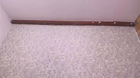 Nicol online show from December 2024 07:14:01 PM