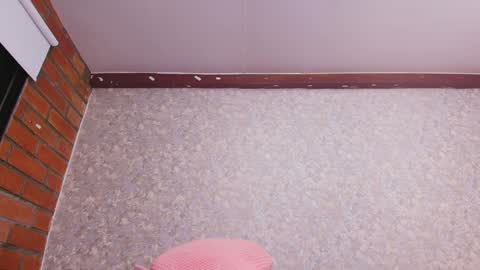 Nicol online show from December 2024 01:15:02 AM