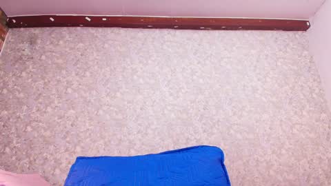 Nicol online show from January 2025 07:39:01 PM