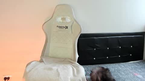 Nicol online show from December 2025 07:32:01 PM