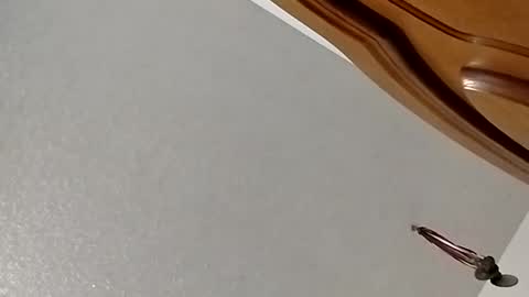 Snapshot of nightnightlol chatting on February 2025 03:08:01 PM nightnightlol online show from February 2025 03:08:01 PM