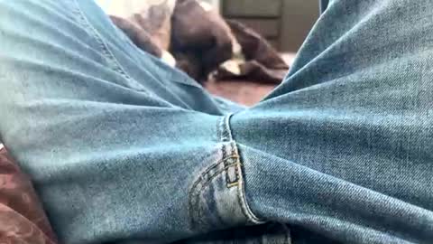 Snapshot of nikk3032 chatting on February 2025 10:47:02 AM NIk online show from February 2025 10:47:02 AM