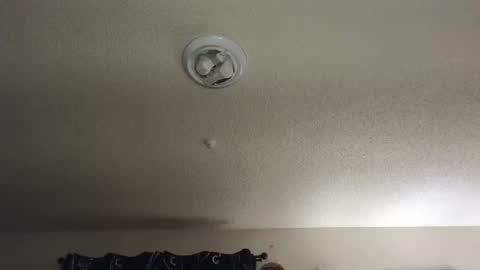 Snapshot of nikkimasters1091 chatting on November 2025 12:29:02 PM Nikki Mastersgirl1091 online show from November 2025 12:29:02 PM