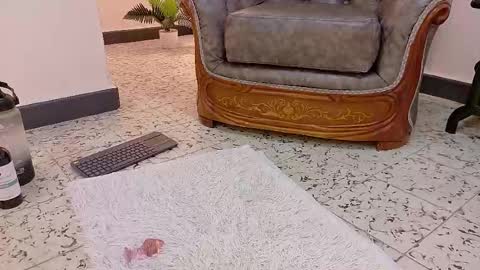  NIKY SMIT  online show from February 2025 02:43:02 PM