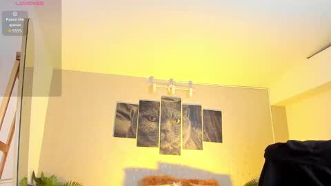 Nils online show from February 2026 04:49:02 AM