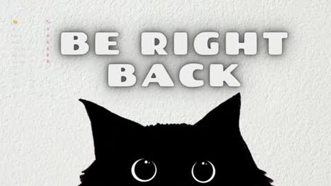 Jennet online show from December 2024 04:27:02 PM