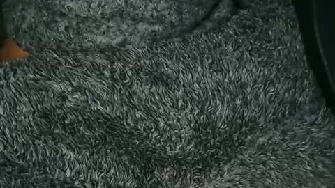 nineinchhard online show from December 2025 09:25:01 AM