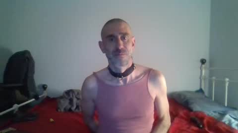 nirevess online show from December 2024 08:23:01 PM