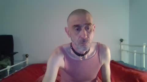 nirevess online show from January 2025 02:52:02 PM