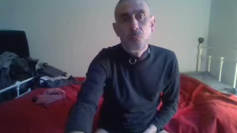 nirevess online show from February 2025 04:04:01 PM