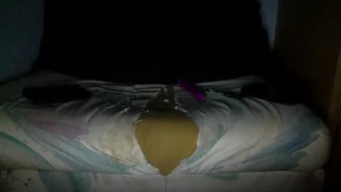 njp360 online show from April 2026 10:43:02 PM