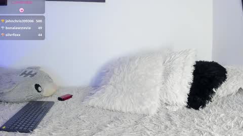 Noah online show from January 2025 03:26:02 AM