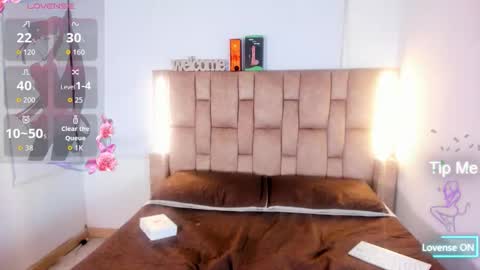 Snapshot of noir_sebas chatting on February 2026 03:35:02 AM Sebas online show from February 2026 03:35:02 AM