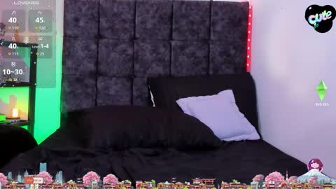 Nolan  online show from December 2025 07:20:01 PM