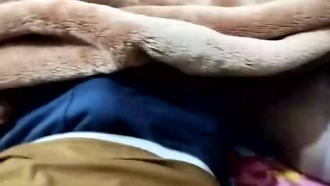 Snapshot of nooby942461 chatting on January 2026 09:09:01 PM sim nib online show from January 2026 09:09:01 PM