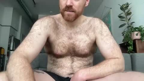 Snapshot of noplann chatting on February 2025 05:57:02 PM No Plan online show from February 2025 05:57:02 PM