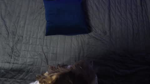 Snapshot of norakiso chatting on December 2024 12:12:02 PM Eva online show from December 2024 12:12:02 PM