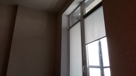 Justin online show from March 2026 12:23:02 PM