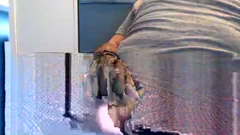 northerndaddy online show from September 2025 09:45:02 AM