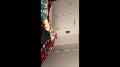 se le perdio algo perra hp online show from January 2025 09:02:01 AM