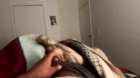 se le perdio algo perra hp online show from January 2026 07:57:02 AM