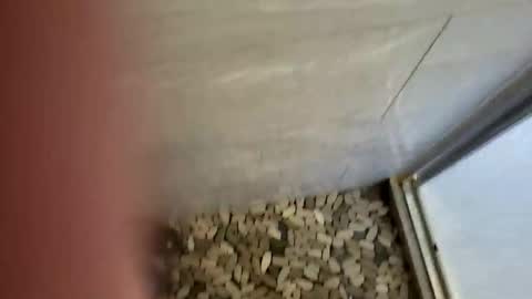 notme710 online show from December 2025 05:32:01 PM