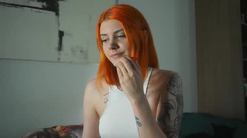 Nova online show from November 2025 07:01:02 PM