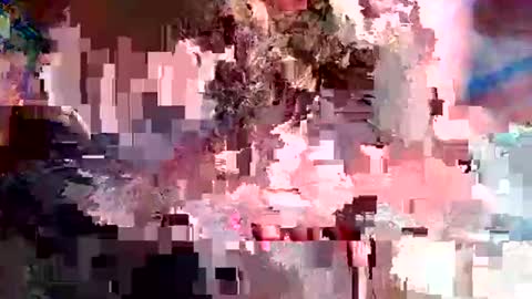 nxrmvljxn online show from December 2025 02:49:01 AM