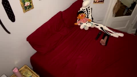 Nymphaea online show from March 2026 11:21:02 PM