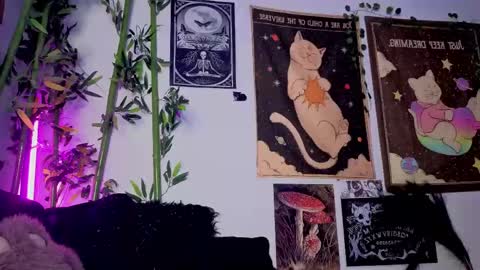   online show from April 2026 02:51:02 AM