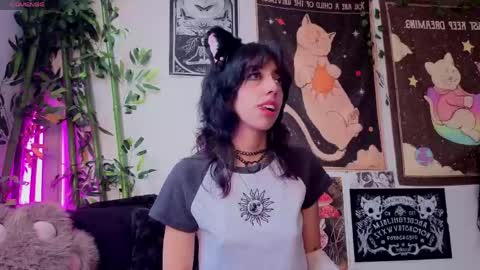   online show from June 2026 10:37:01 PM