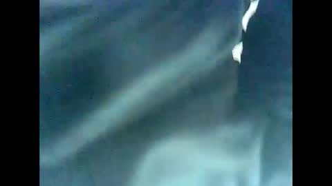 occhio00 online show from February 2025 12:41:02 PM