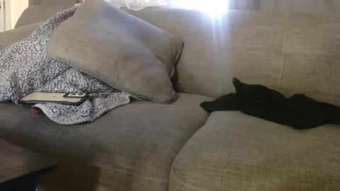 Snapshot of ogdigbick chatting on November 2025 02:16:02 PM OGDigBick online show from November 2025 02:16:02 PM