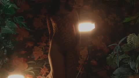 Snapshot of oh_lilith chatting on February 2025 11:09:02 PM your dear Lilith Chapman online show from February 2025 11:09:02 PM