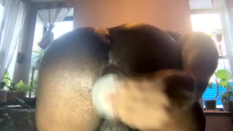 bbygtbckkk online show from January 2025 08:54:02 PM